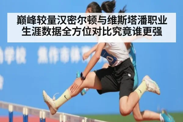 巅峰较量汉密尔顿与维斯塔潘职业生涯数据全方位对比究竟谁更强